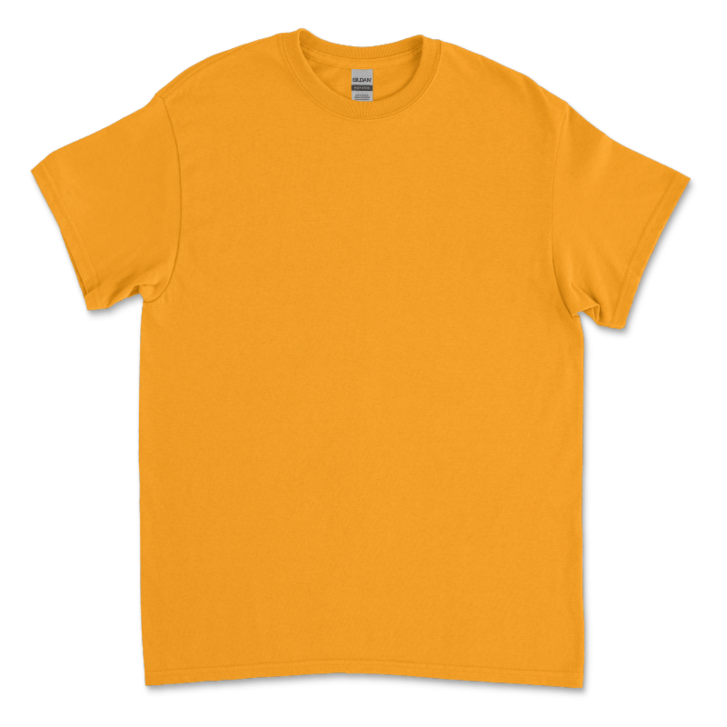 Heavy Cotton Tshirt Gildan